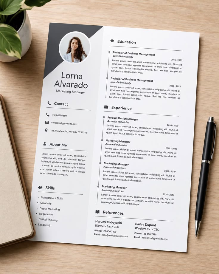 Ejemplo de CV profesional armado por KYNEXA